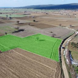 Anafartalar’da Kadastral Yola Cepheli 4800 m2 Yatırımlık Arazi